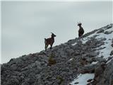 Rifugio Pederü - Piccola Croda Rossa / Kleine Gaisl